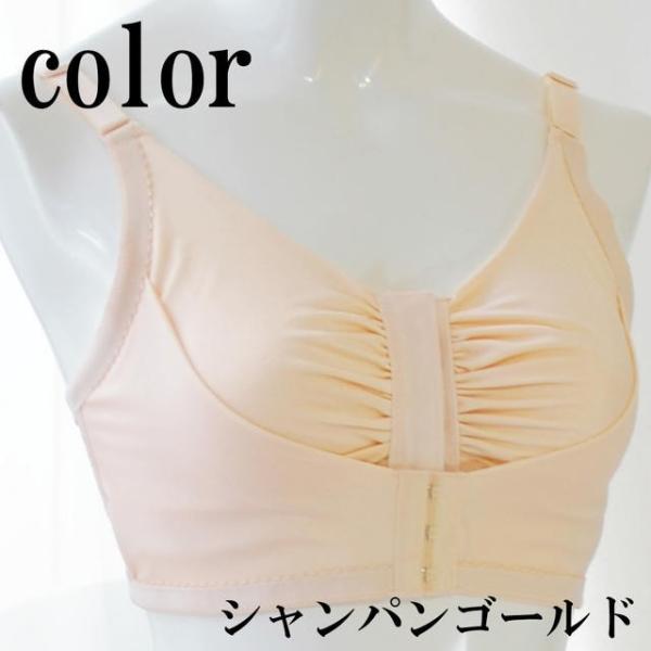 乳がん用ブラ ドリームブラプラス 乳房再建手術後 乳がん術後