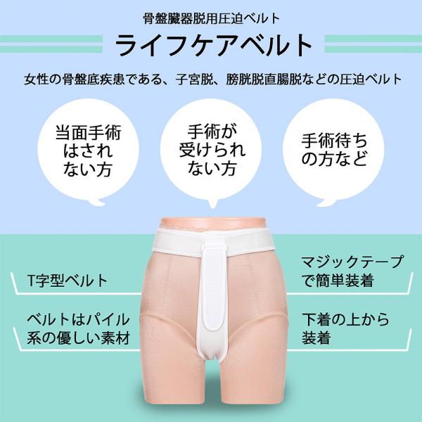 骨盤臓器脱用圧迫サポートベルト ライフケアベルト T字型 女性の骨盤