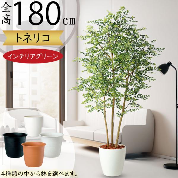 トネリコ フェイクグリーン 大型 人気 人工観葉植物 おしゃれ リアル