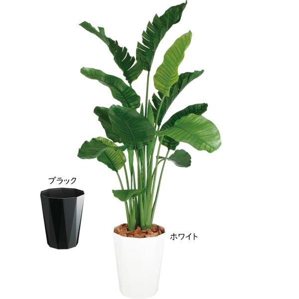 ストレリチア 大型 ストレチア 観葉植物 おしゃれ インテリアグリーン フェイクグリーン 造花 人工観葉 人工樹木 オーガスタ おすすめ 特大 大きい  大きめ 200cm /【Buyee】 Buyee - Japanese Proxy Service | Buy from Japan!