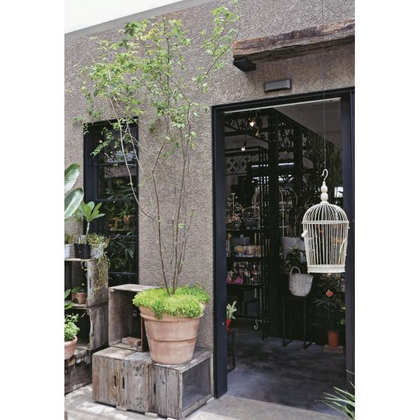 植木鉢 大型 テラコッタ おしゃれ プランター おすすめ 素焼き