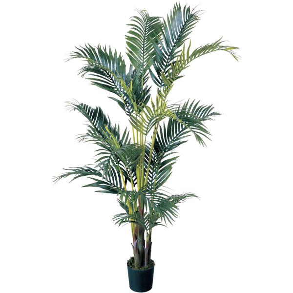 ケンチャヤシ 観葉植物 人気 おしゃれ インテリアグリーン フェイク