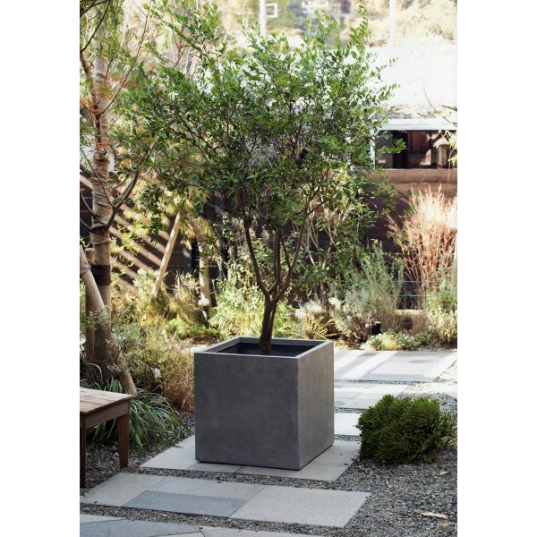 プランター 大 Amazon.co.jp: 室内用植木鉢 大型 プランター 植木鉢 陶器 穴
