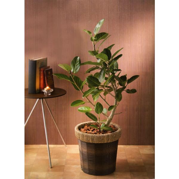 ◼️最終価格◼️【直接引取りOK】◼️新品◼️大型バスケット 鉢カバー (大) バスケット 鉢カバー 大型 おしゃれ 人気 プランター 観葉植物 花器