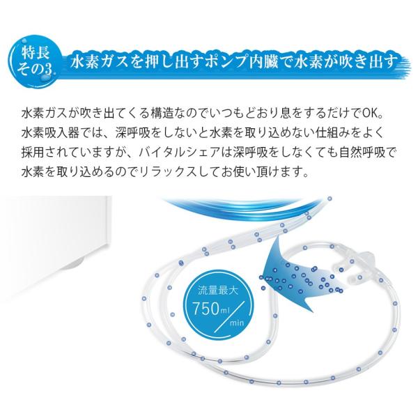 VitalShare バイタルシェア 日省エンジニアリング製 標準仕様水素水素