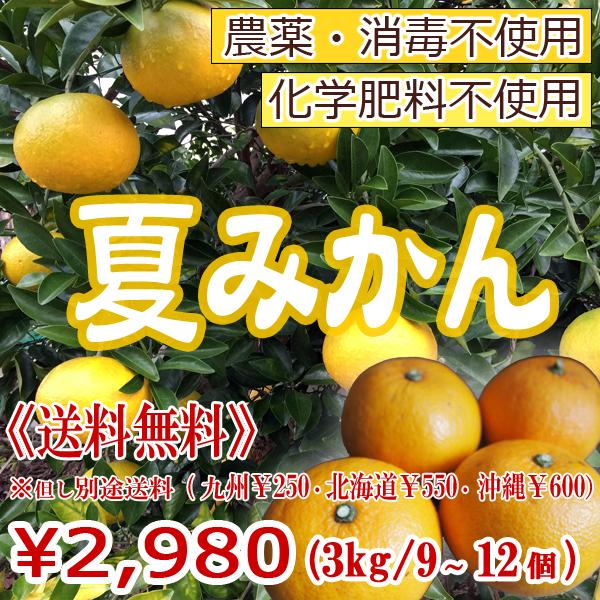 送料無料】除外地域あり！柑橘類 夏みかん ナツミカン無農薬・無化学