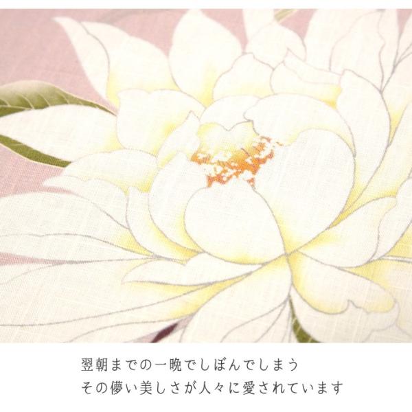 WAKKA 京袋帯 正月 南天 凧 和モダン 正絹 くすみピンク系 Q630