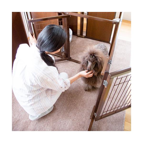 絡繰式ラボ（通常盤）犬丸芝居小屋 Amazon.co.jp: 絡繰式ラボ (初回限定版CD+DVD): ミュージック