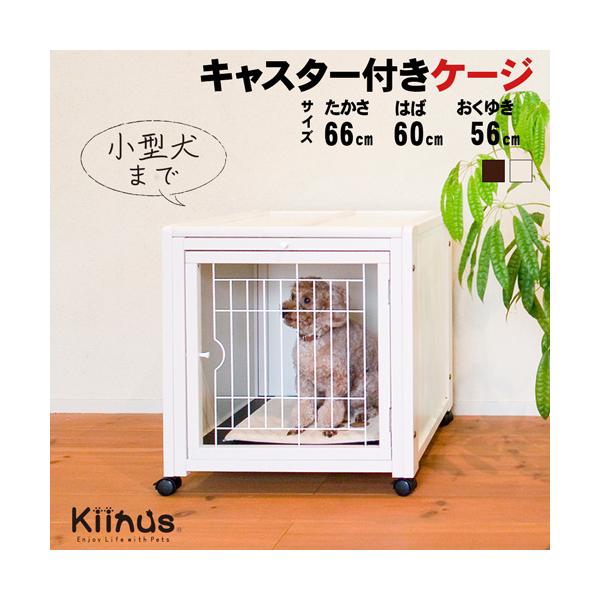 kiinus ペット ケージ ハウス AS120 オフホワイト 小型犬 ゲージ