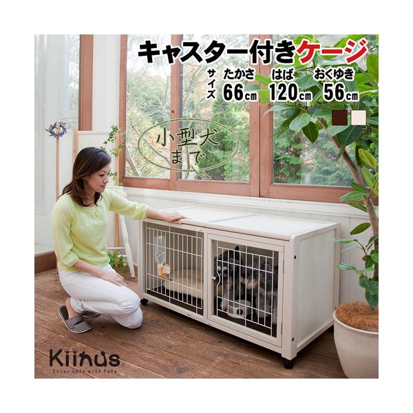 kiinus ペット ケージ ハウス AS120 オフホワイト ペットケージ ハウスAS120] 小型犬用 ケージ 多頭飼い ゲージ