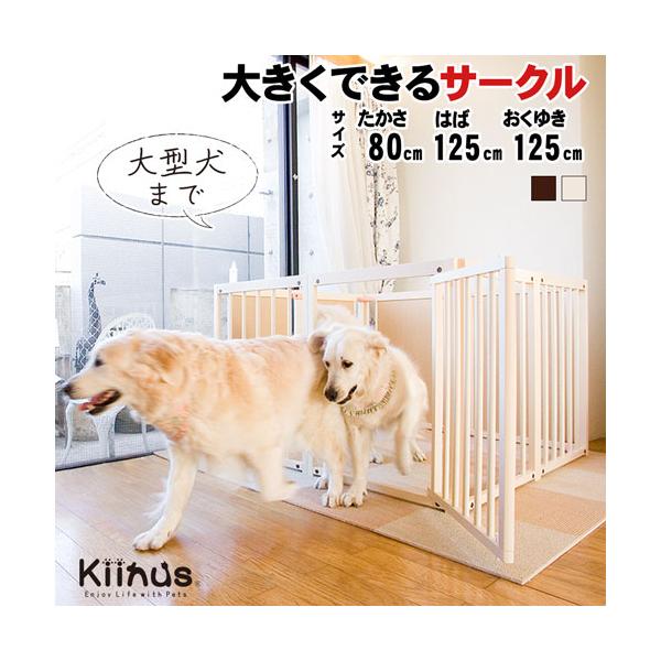 ペットサークル 80XL ] キーヌス 中型犬 大型犬 高さ80cm 多頭飼い