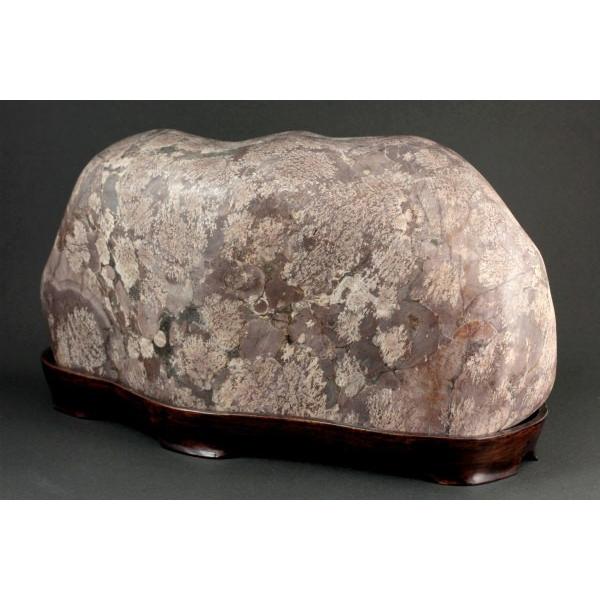 岐阜県奥飛騨産 白山菊紋石 置石 4.6kg /【Buyee】 Buyee - Japanese