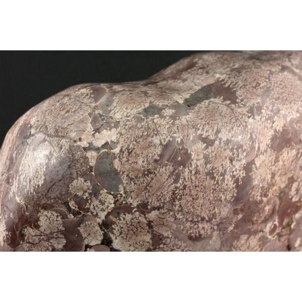 岐阜県奥飛騨産 白山菊紋石 置石 4.6kg /【Buyee】 Buyee - Japanese