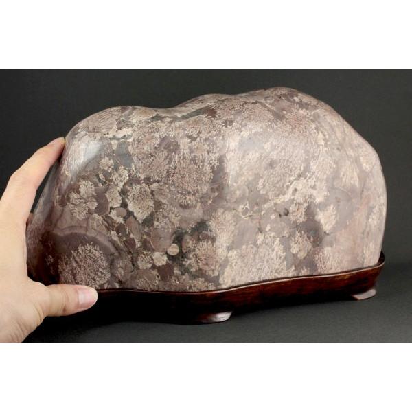 岐阜県奥飛騨産 白山菊紋石 置石 4.6kg /【Buyee】 Buyee - Japanese