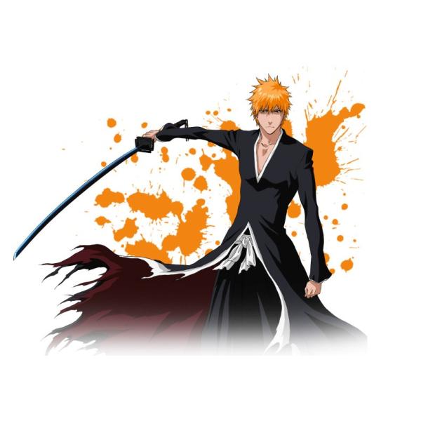 bleach 天鎖斬月 黒崎一護 黒崎一護 コスチューム 卍解服 コスプレ衣装 変装 仮装