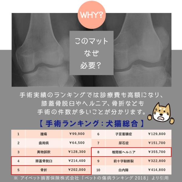 ペットマット 抗菌 防水 犬 pvc ペット用 はっ水 滑らない 110×220