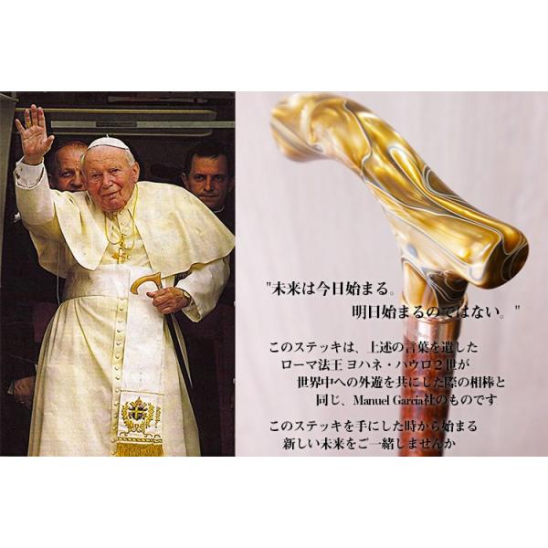 スペイン製ステッキ imgrc0072934980.jpg