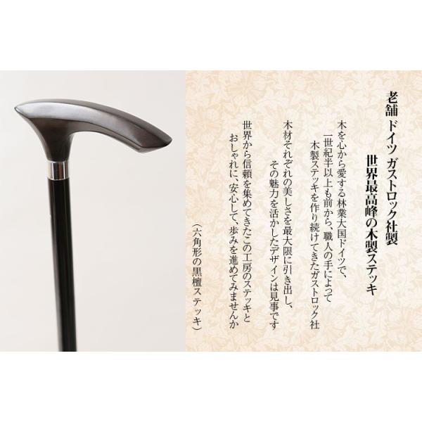 特別価格】杖 ステッキ 黒檀 木製 ドイツ製 ガストロック - 看護/介護用品