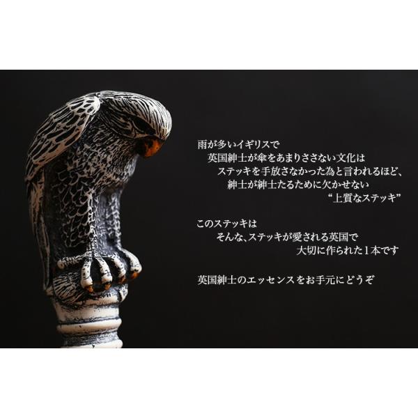 杖 つえ ステッキ おしゃれ 力強く美しい”鷲”を鯨細工風彫塑で愛でる