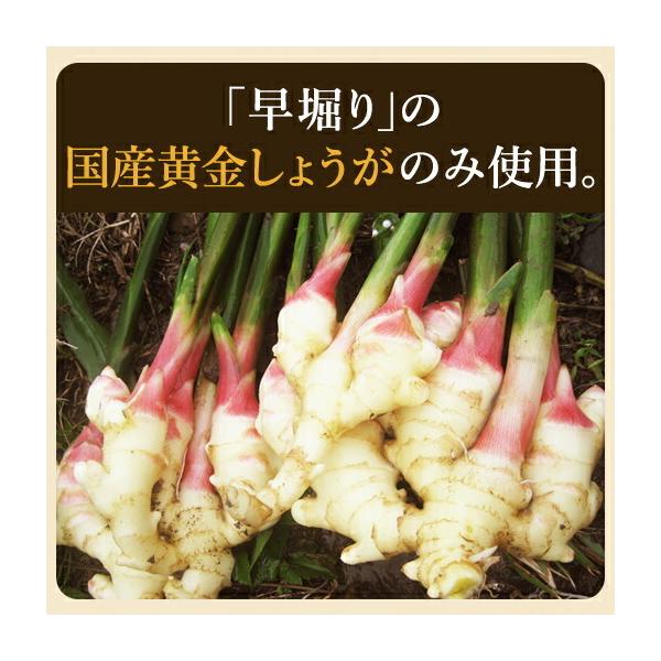 SALE／78%OFF】 国産黄金生姜使用 寿司がり 1kg × 3袋 坂田信夫商店