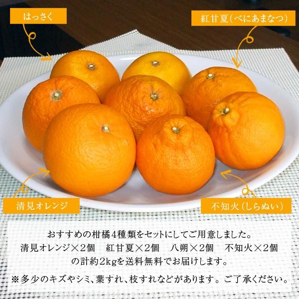 ぷち美柑 2枚 ぷちヤミ 4枚 PR プロモ FRUITS ZIPPER【Official】 on X: 