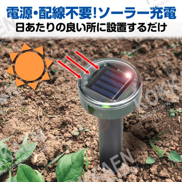 モグラ 退治 お手軽 モグラ 撃退器（4個セット）もぐら撃退 モグラよけ