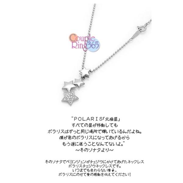 冬のソナタ ポラリス ネックレス ピアス K14 - ネックレス