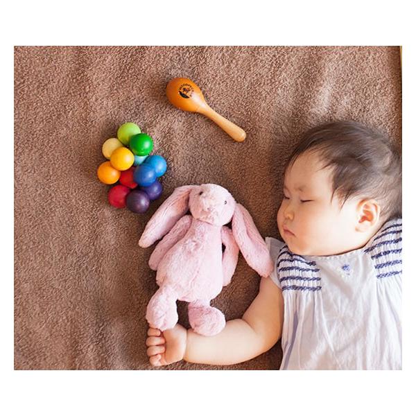 ジェリーキャットぬいぐるみ うさぎ バシュフル チューリップピンク S