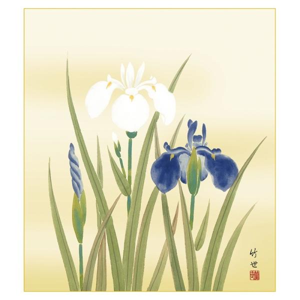 花鳥画 色紙 四季淡花 菖蒲 田村竹世 高精細特色色紙 /【Buyee