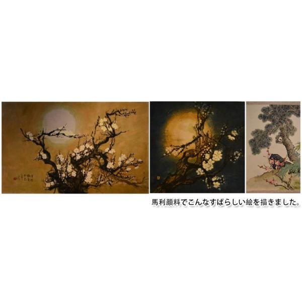 水墨画/ 中国画/ 墨彩画/ 水彩画/ 顔料/ 絵の具/ 絵具/ 絵画/ 画材