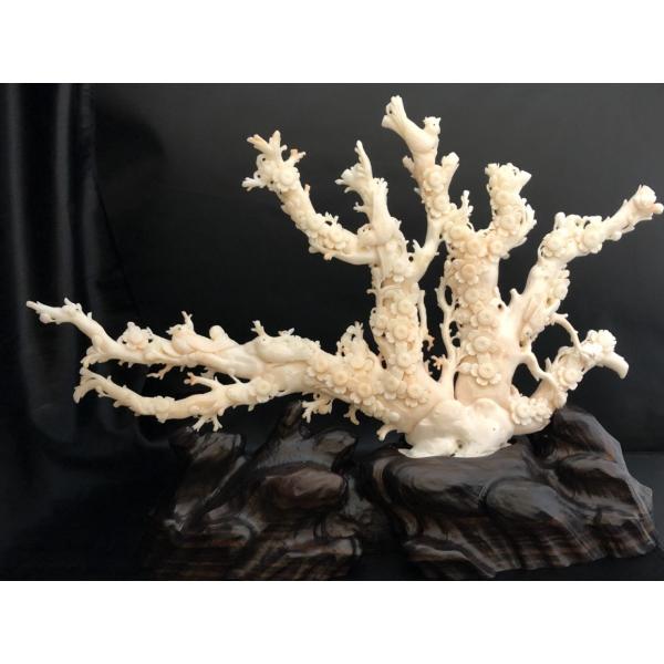 天然珊瑚彫刻L11タイプ