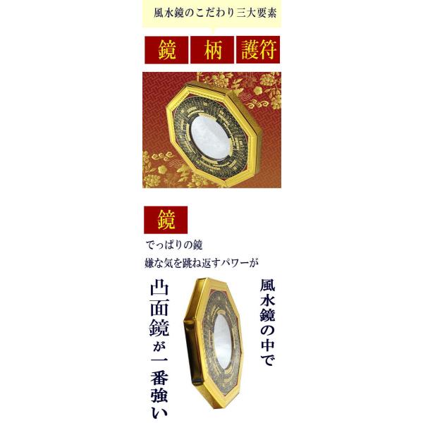 魔除け Amazon | アスセイバーズ (ASS SAVERS) ToeTector Regular