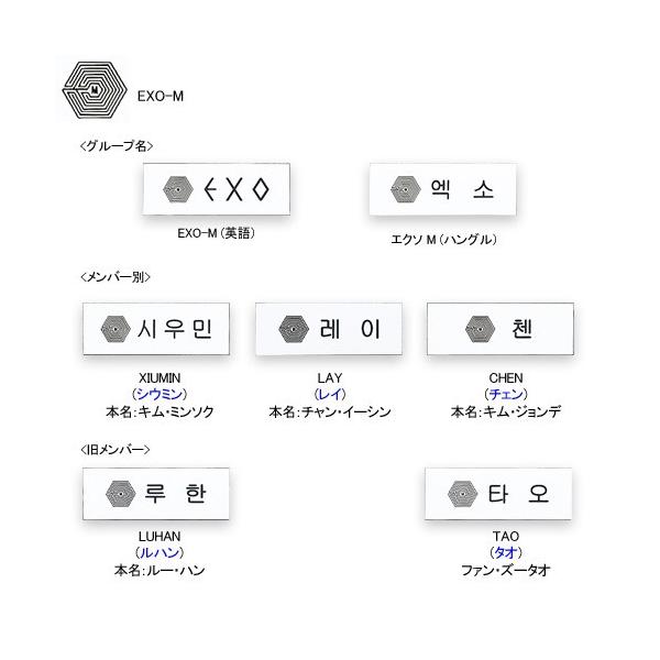 EXO ( エクソ )/ メンバー別 ネームプレート ( exo 名札 K-POP グッズ 
