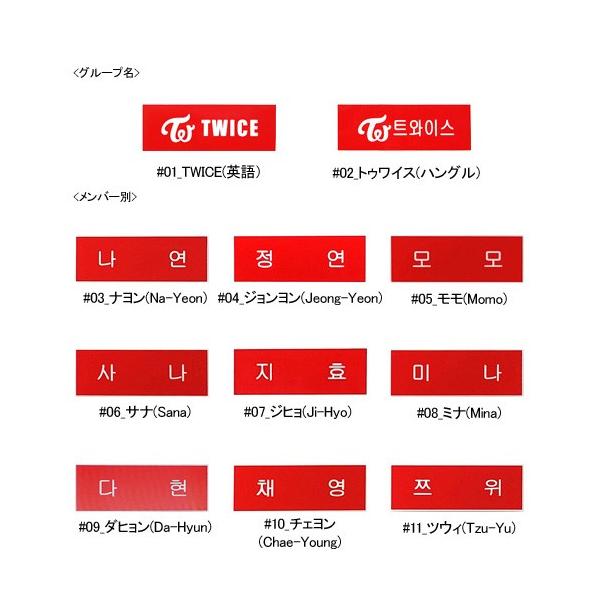 TWICE 公式ネームプレート　モモ以外のメンバーセット TWICE ( トゥワイス )/ 11個セット メンバー別ネームプレート