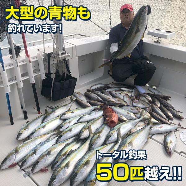 ジグ 120g オフショア ジギング ブリ ヒラマサ 青物 おすすめ