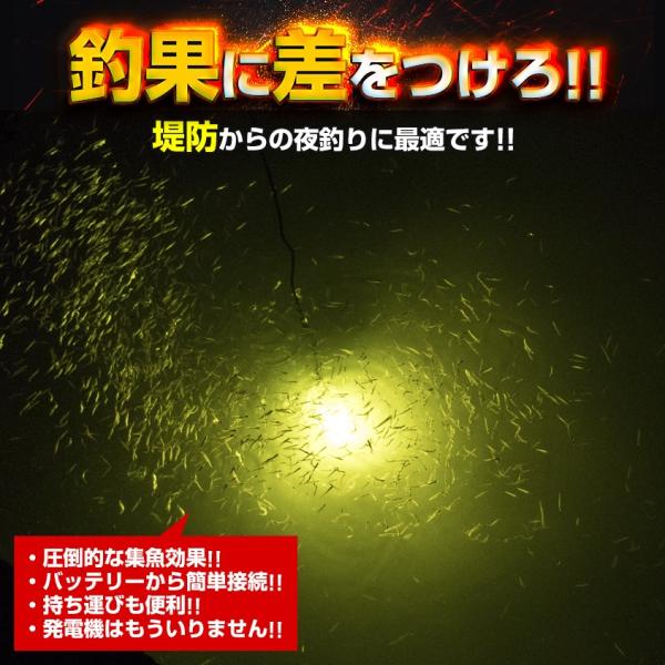 シラスウナギ 漁 専用色 レモンイエロー 水中灯 25w ショートサイズ 集魚灯 12v しらすうなぎ 道具 LED 水中 ライト イカ釣り  夜釣りにも /【Buyee】