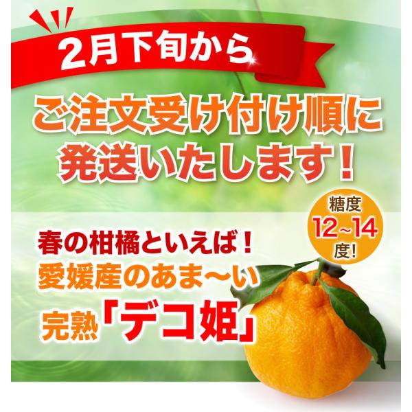 早期予約開始2月下旬より発送予定2箱購入で送料無料3箱購入で10kgに