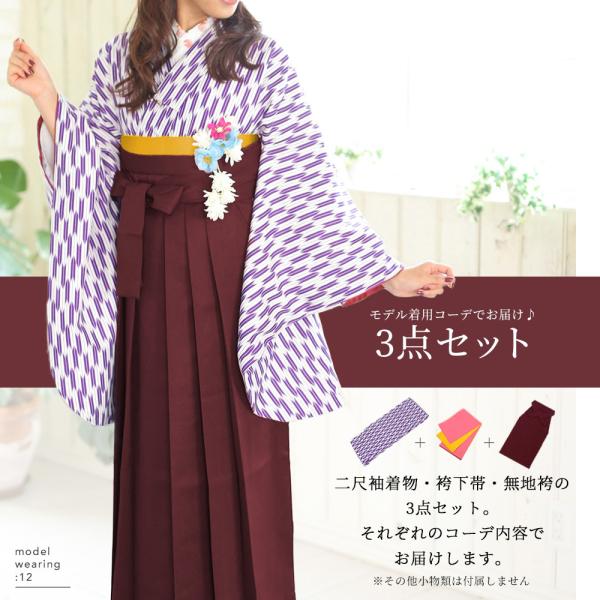 (袴3点セット 矢絣 L)袴セット 卒業式 袴 セット 女性 8colors 振袖