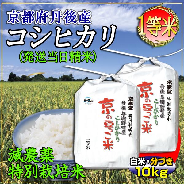 新米お米10kg コシヒカリ当日精米京都米丹後産京の豆っこ米（5kg×2袋