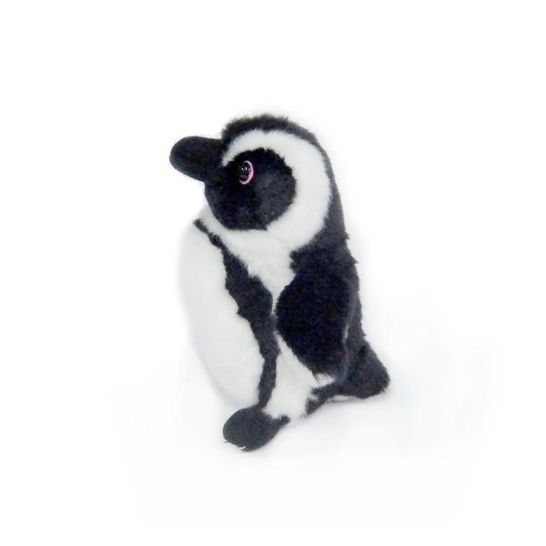 ケープペンギンSS /【Buyee】