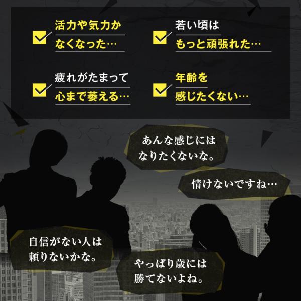 京福堂公式】プロキオン指定医薬部外品90日分男性活力ケア厳選配合即効