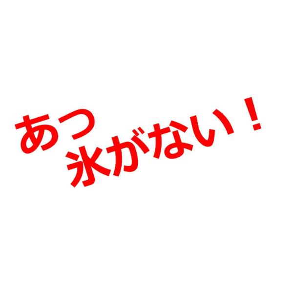 製氷機 家庭用 新型 高速 自動製氷機 日本 表示 かき氷 レジャー