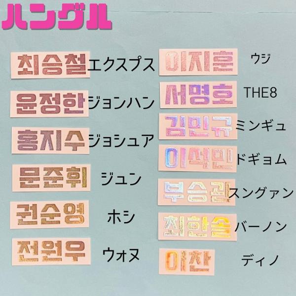 セブチ　seventeen ペンライト ステッカー　名前　オーダー セブチ seventeen ペンライト ステッカー 名前 オーダー - メルカリ