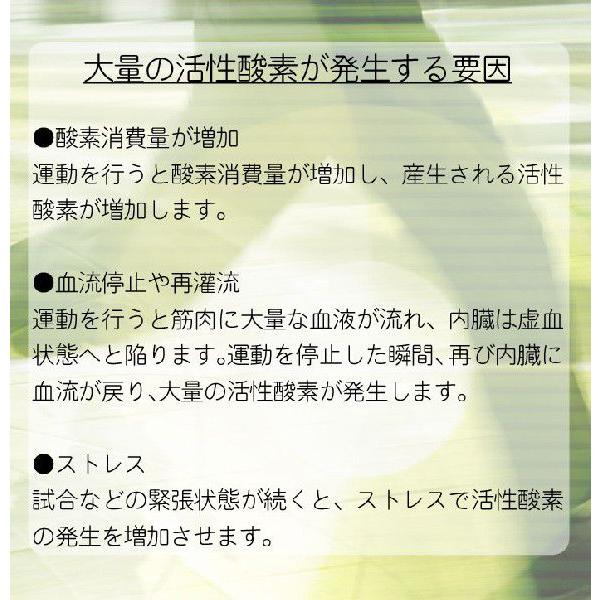 Sオール 活性酸素抑制 植物発酵食品 賞味期限：2026/08 楽天市場】食物発酵食品 Sオール 特許 活性酸素抑制組成物 SOD抗酸化