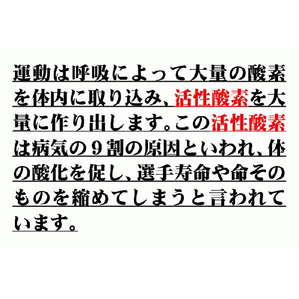 Sオール 活性酸素抑制 植物発酵食品 賞味期限：2026/08 楽天市場】食物発酵食品 Sオール 特許 活性酸素抑制組成物 SOD抗酸化