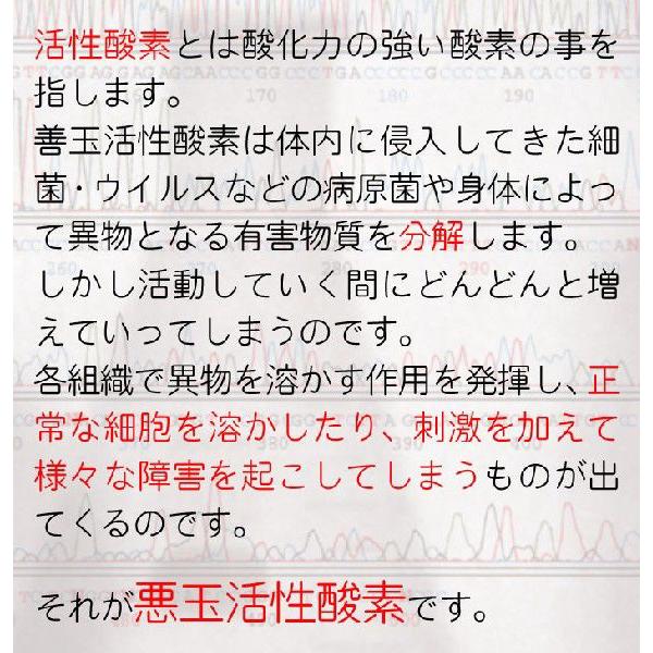Sオール 活性酸素抑制組成物 抗酸化 サプリメント 活性酸素 SOD アンチ