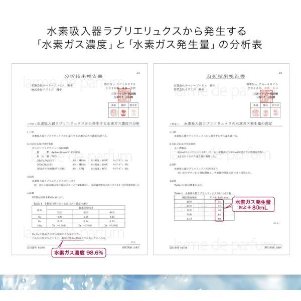 水素吸入器 ラブリエリュクス 水素吸入チューブ カニューラ 高 水素吸入器 ラブリエリュクス 水素吸入チューブ カニューラ 高