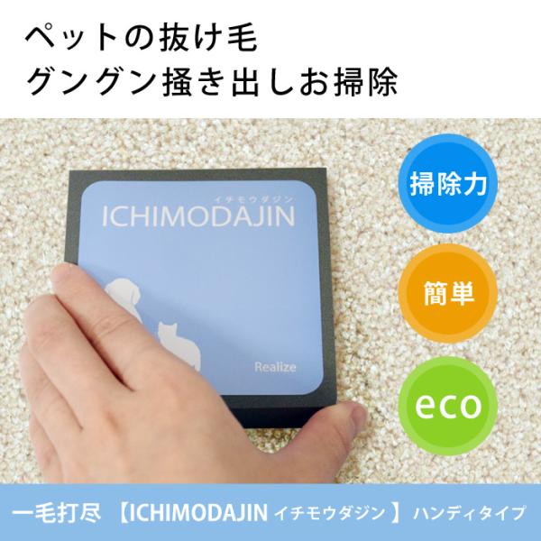 一毛打尽 ハンディタイプ ペットの抜け毛掃除 カーペット 車内