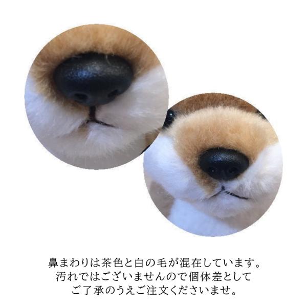 童心ぬいぐるみ　日本製　キャバリア柴黒お座り 犬のぬいぐるみ 柴犬 キュート販売 CUTE 黒豆柴 座りS 15cm