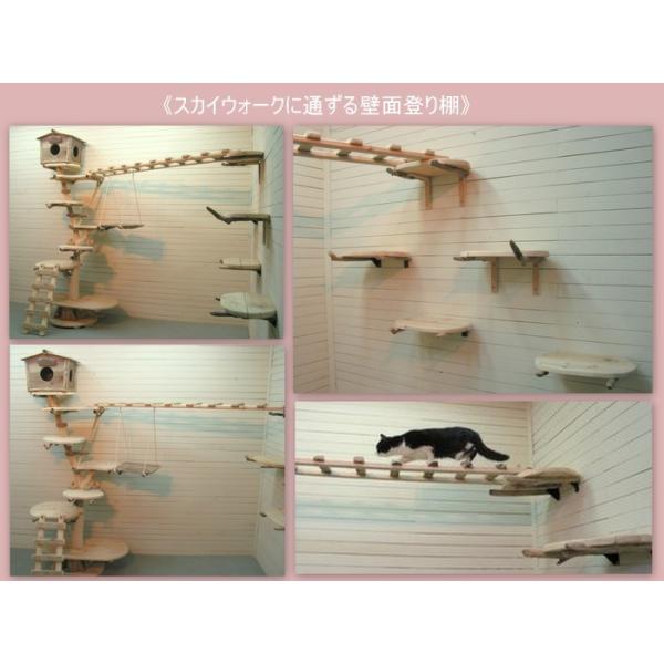 家ページ・流木キャットタワー 大型流木キャットタワー 壁面登り棚大型スカイウォーク付き pk18